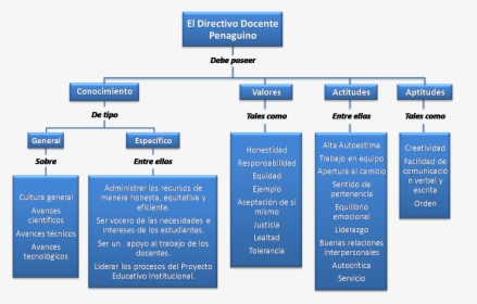 Perfil Del Directivo Docente, HD Png Download, Transparent PNG