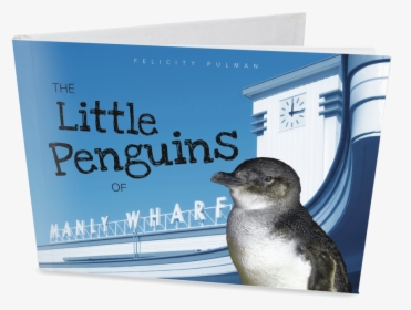 The Little Penguins Of Manly - Little Market, HD Png Download, Transparent PNG