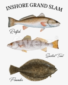 Speckled Trout Pillow Case , Png Download - Trout Redfish And Flounder, Transparent Png, Transparent PNG
