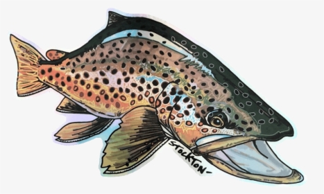 Matthew Stockton Brown Trout Holographic Sticker - Brown Trout Png, Transparent Png, Transparent PNG