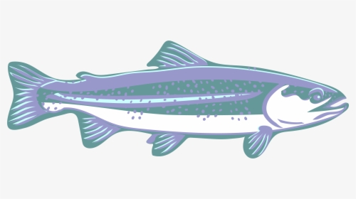 Trout Clipart Speckled Trout - Canoe, HD Png Download, Transparent PNG