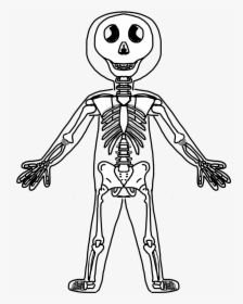 Human Body Black And White Clipart, HD Png Download, Transparent PNG