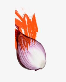 Cinder House Flame One - Red Onion, HD Png Download, Transparent PNG