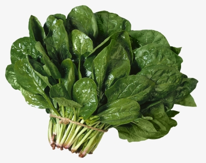 Salad Png Image - Espinaca Png, Transparent Png, Transparent PNG