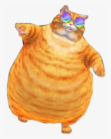Transparent Tabby Cat Png - Orange Tabby Cat Fat, Png Download, Transparent PNG