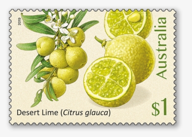 Bush Citrus - Bush Citrus Australian Stamps, HD Png Download, Transparent PNG