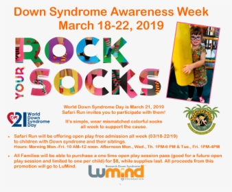Socks Down Syndrome Day, HD Png Download, Transparent PNG