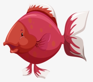 Red Fish Png - Parts Of The Body Of Fish, Transparent Png, Transparent PNG