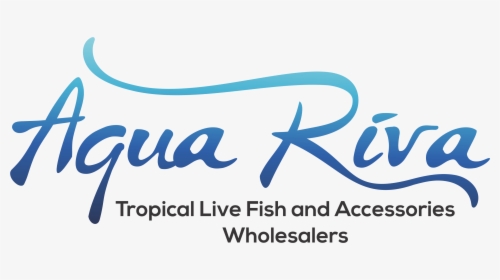 Aqua Riva - Calligraphy, HD Png Download, Transparent PNG