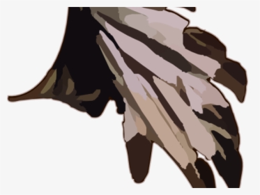 Indian Feathers Cliparts - Indian Feathers, HD Png Download, Transparent PNG