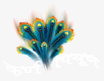 Krishanpreet Com Logo - Vector Peacock Feather Png, Transparent Png, Transparent PNG