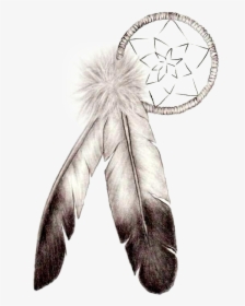 Indian Feather Png, Transparent Png, Transparent PNG