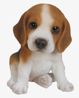 Beagle Png Background Image - Beagle Puppy Png, Transparent Png, Transparent PNG