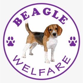 Beagle Welfare, HD Png Download, Transparent PNG
