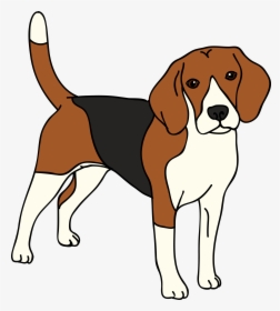 Collection Of Free Beagle Drawing Hound Dog Download - Beagle Clipart Png, Transparent Png, Transparent PNG