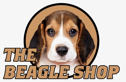 Beagle-harrier, HD Png Download, Transparent PNG