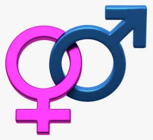 Gender Symbol Female Clip Art - Gender And Human Sexuality Ppt, HD Png Download, Transparent PNG