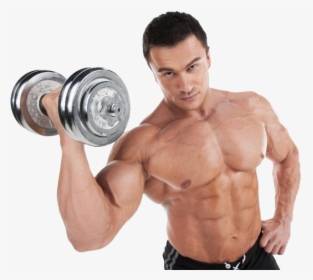 Bodybuilding Png Transparent Image - Carbohidratos En El Cuerpo Humano, Png Download, Transparent PNG
