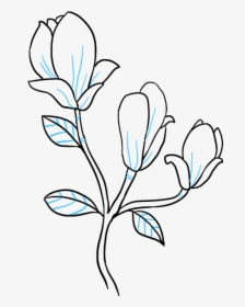 Clip Art How To Draw A Magnolia Flower - Magnolia Flower Drawing Easy, HD Png Download, Transparent PNG