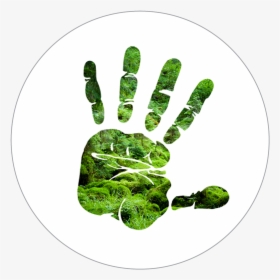 Silhouette Of Hand Over Forest Scene - Hand Print Clipart, HD Png Download, Transparent PNG