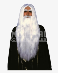 Wig - Warlock With Beard, HD Png Download, Transparent PNG