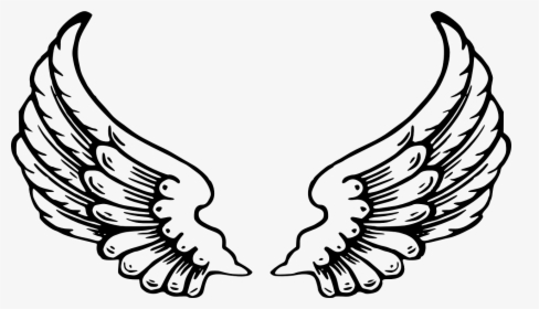 Wing Coloring Pages, HD Png Download, Transparent PNG