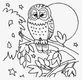 Cute Owl Coloring Pages Printable - Fall Animal Coloring Pages, HD Png Download, Transparent PNG