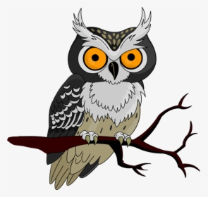 Cute Owl Halloween - Owl Clipart, HD Png Download, Transparent PNG