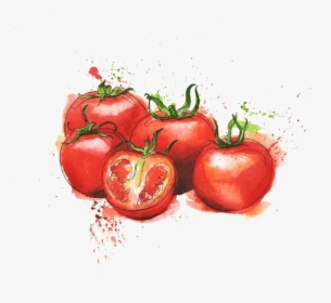 Tomato Sauce Watercolor Png, Transparent Png, Transparent PNG