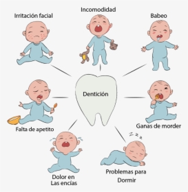 Sintomas La Denticion Del Bebe , Png Download - Cartoon, Transparent Png, Transparent PNG