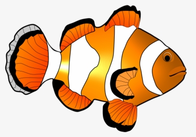Clown Fish Clip Art - Clipart Coral Reef Fish, HD Png Download, Transparent PNG