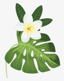 Happy Birthday Mom Green Flowers, HD Png Download, Transparent PNG