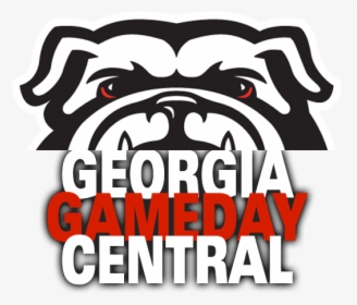 Georgia Bulldog Gameday Central - Pug, HD Png Download, Transparent PNG