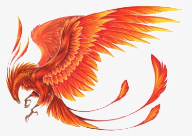 Mythical Creature Phoenix Drawing, HD Png Download, Transparent PNG