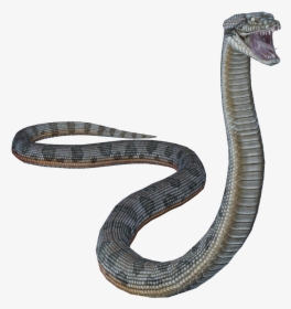 Anaconda Photo Background - Indian Cobra, HD Png Download, Transparent PNG