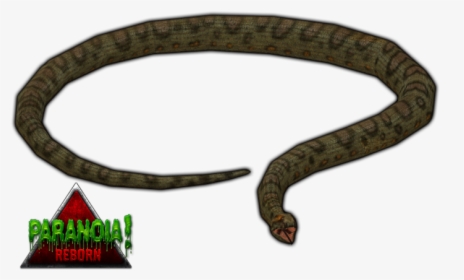 Anaconda Zoo Tycoon 2, HD Png Download, Transparent PNG