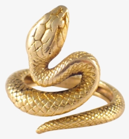 Rattlesnake Gold Reptile Vipers - Gold Snake Png, Transparent Png, Transparent PNG