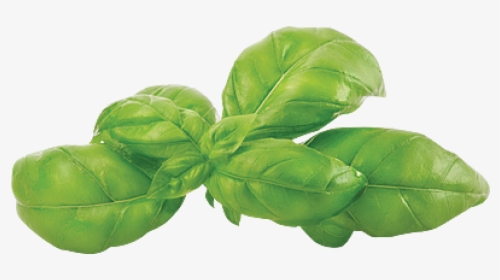 Spinach, HD Png Download, Transparent PNG
