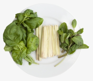 Hydroponic Cocktail Mix - Spaghetti, HD Png Download, Transparent PNG