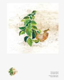 Genovese Basil Fine Art Poster - Floral Design, HD Png Download, Transparent PNG