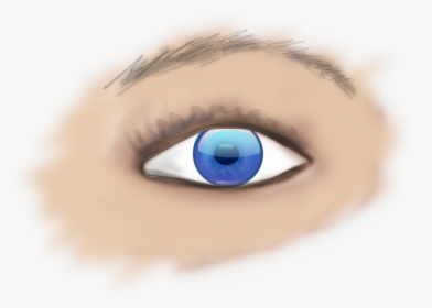 Human Eye Png - Part Of Eye Is Donated In Eye Donation, Transparent Png, Transparent PNG