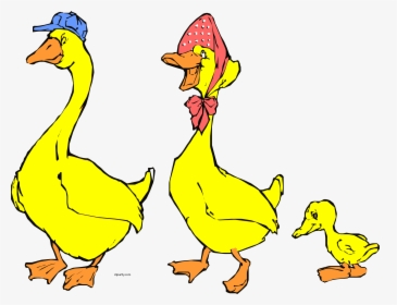 Family Duck Clipart Png - Duck Family Clipart, Transparent Png, Transparent PNG