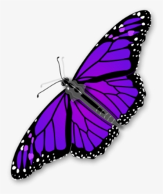 Purple Butterfly Png - Monarch Butterfly Transparent Background, Png Download, Transparent PNG
