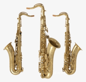 Clip Art Remy Saxophones Charlie S - Saxophones Png, Transparent Png, Transparent PNG
