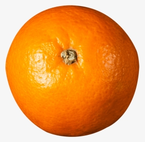 Orange Top View - Fruits Top View Png, Transparent Png, Transparent PNG