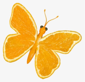 Citrus Fruit Butterfly Clip Arts - Yellow Butterfly Cartoon, HD Png Download, Transparent PNG
