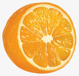 Orange-3d - Oranges With Leaves, HD Png Download, Transparent PNG
