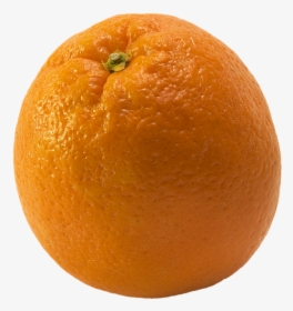 Orange Fruit Citrus Fruits Free Photo - Transparent Orange, HD Png Download, Transparent PNG