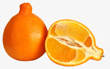 Minneola Orange , Transparent Cartoons - Tangerine Meaning In Urdu, HD Png Download, Transparent PNG