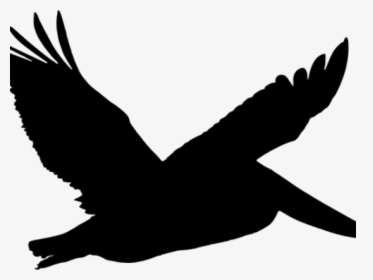 Transparent Dove Clipart Png - Silhouette Pelican Clipart, Png Download, Transparent PNG